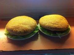 Bill’s Broodjesbar’s De Teutenburger Challenge