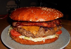 Delish Restaurant’s 3lb Bacon Cheeseburger Challenge