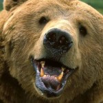 Profile picture of Louis Kowalski