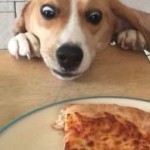 Profile picture of ArmStrong-