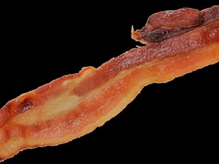 bacon